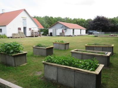 Haven på aktivitets- og værkstedet på Restrup Kærvej