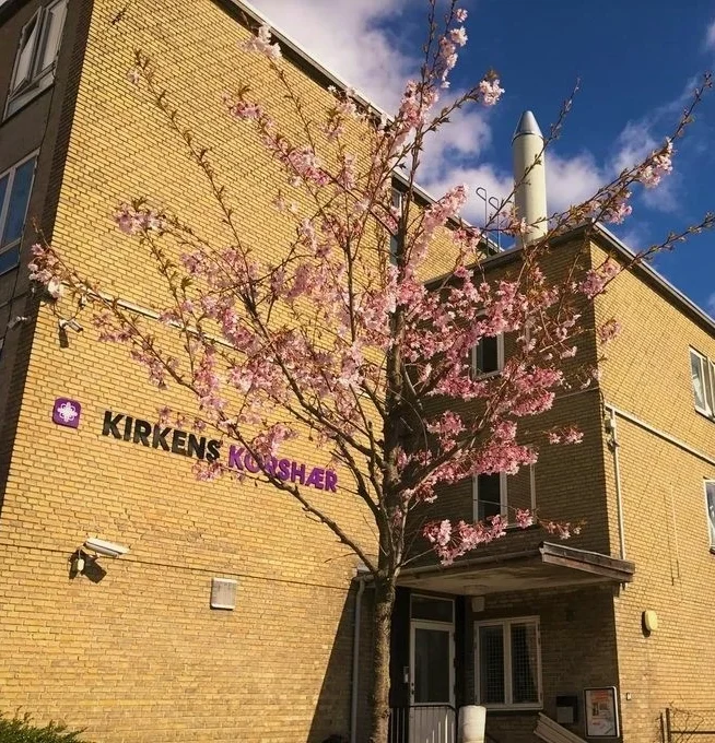 Herberget-i-Hilleroedgade-aspect-ratio-250-260