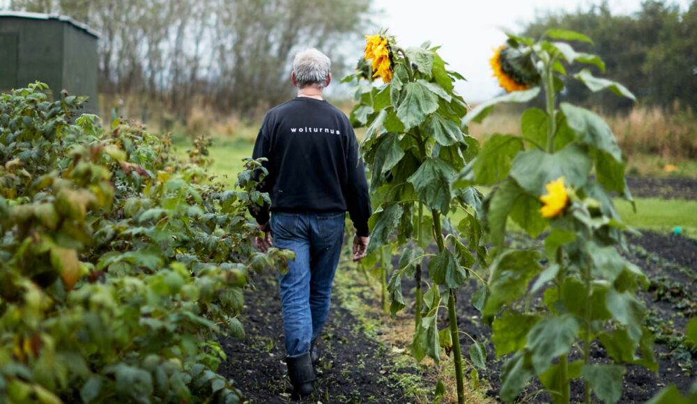 Kirkenskorshaer_Aalborg_36-aspect-ratio-1000-580