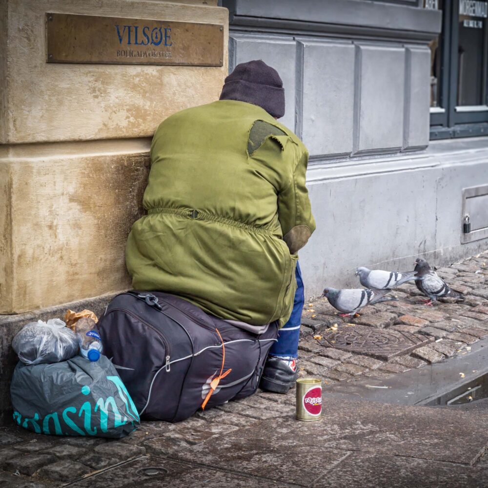 Massimovinterbilleder12-aspect-ratio-1000-1000