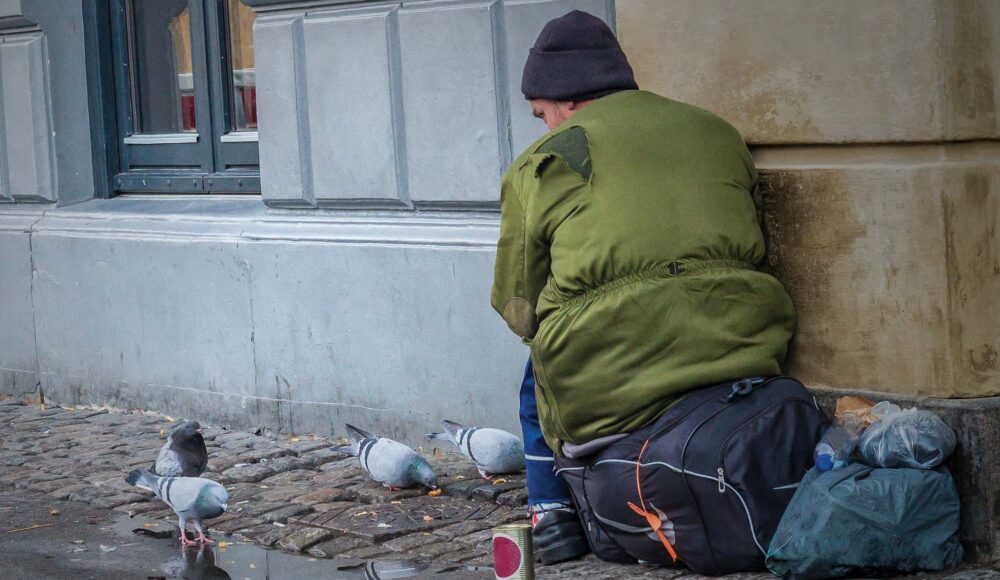 Massimovinterbilleder5-aspect-ratio-1000-580